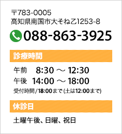 〒783-0005  高知県南国市大そね乙1253-8  TEL 088-863-3925  診療時間 午前 8:30 〜 12:30 午後 14:00 〜 18:00　休診日 / 土曜午後、日曜、祝日