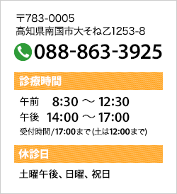 〒783-0005  高知県南国市大そね乙1253-8  TEL 088-863-3925  診療時間 午前 8:30 〜 12:30 午後 14:00 〜 18:00 (木曜は17:00まで)  休診日 土曜午後、日曜、祝日